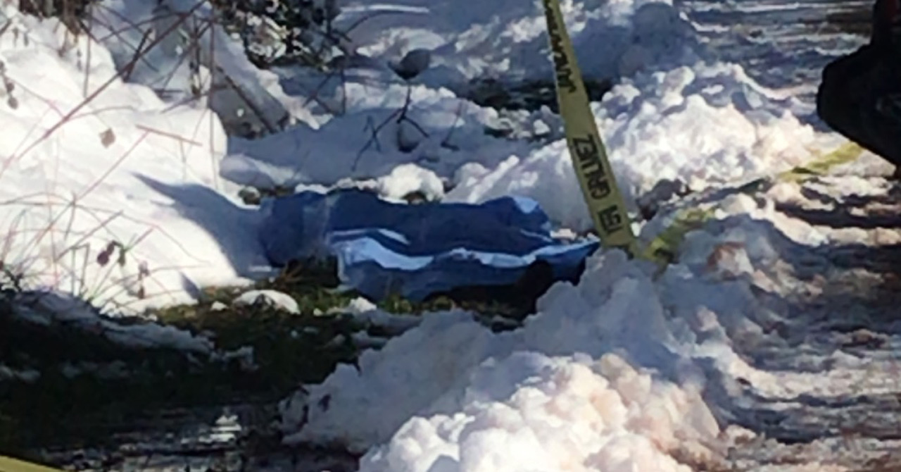 Yol kenarında ölü bulundu; 'soğuktan dondu' şüphesi