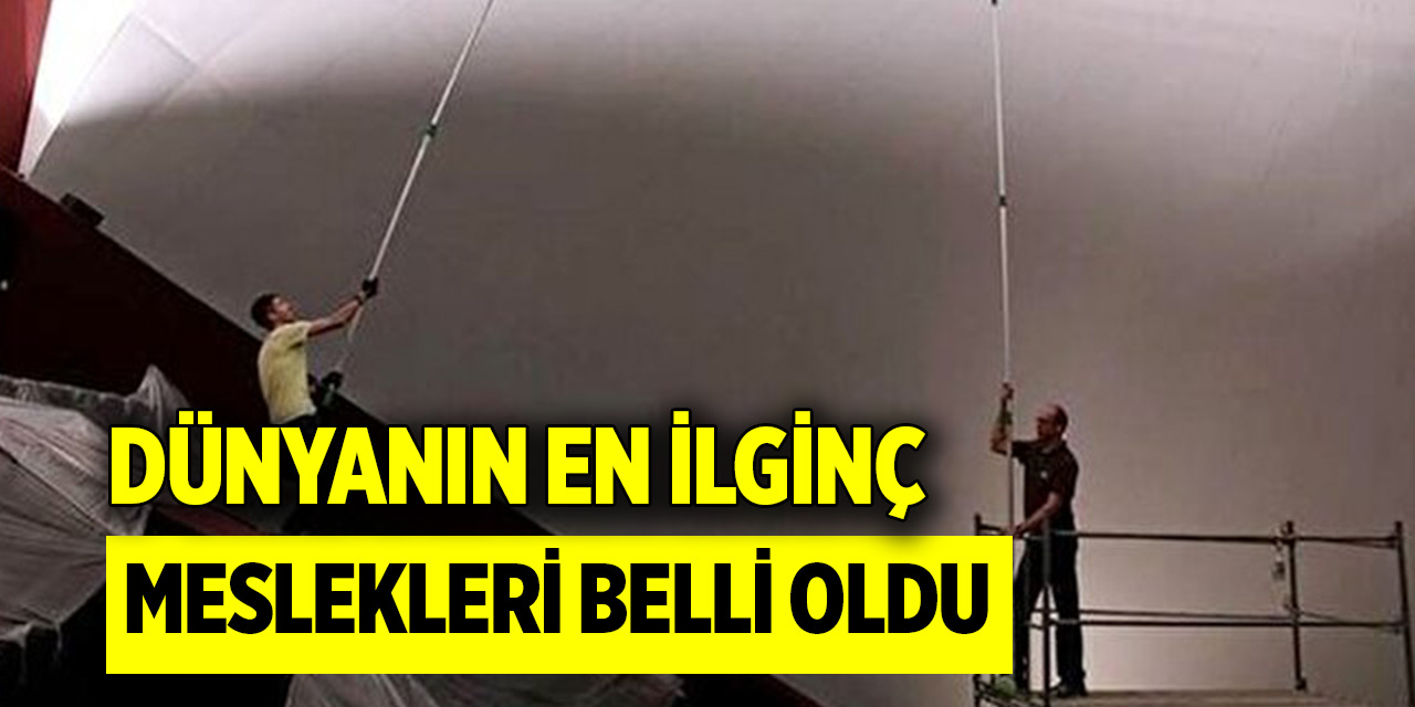 Dünyanın en ilginç meslekleri belli oldu