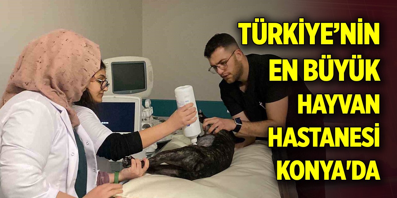 Türkiye’nin en büyük hayvan hastanesi Konya'da