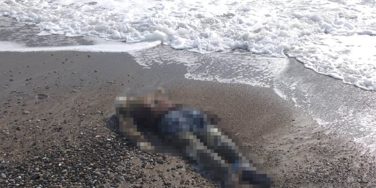Antalya sahillerinde 4 günde 5 ceset