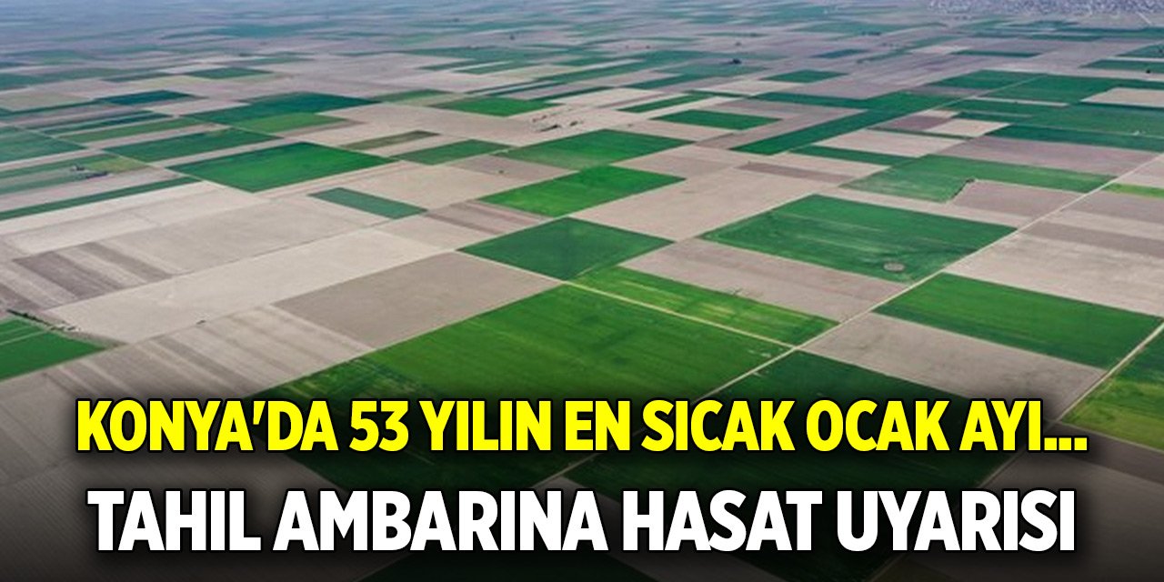 Konya'da 53 yılın en sıcak ocak ayı... Türkiye'nin tahıl ambarına hasat uyarısı