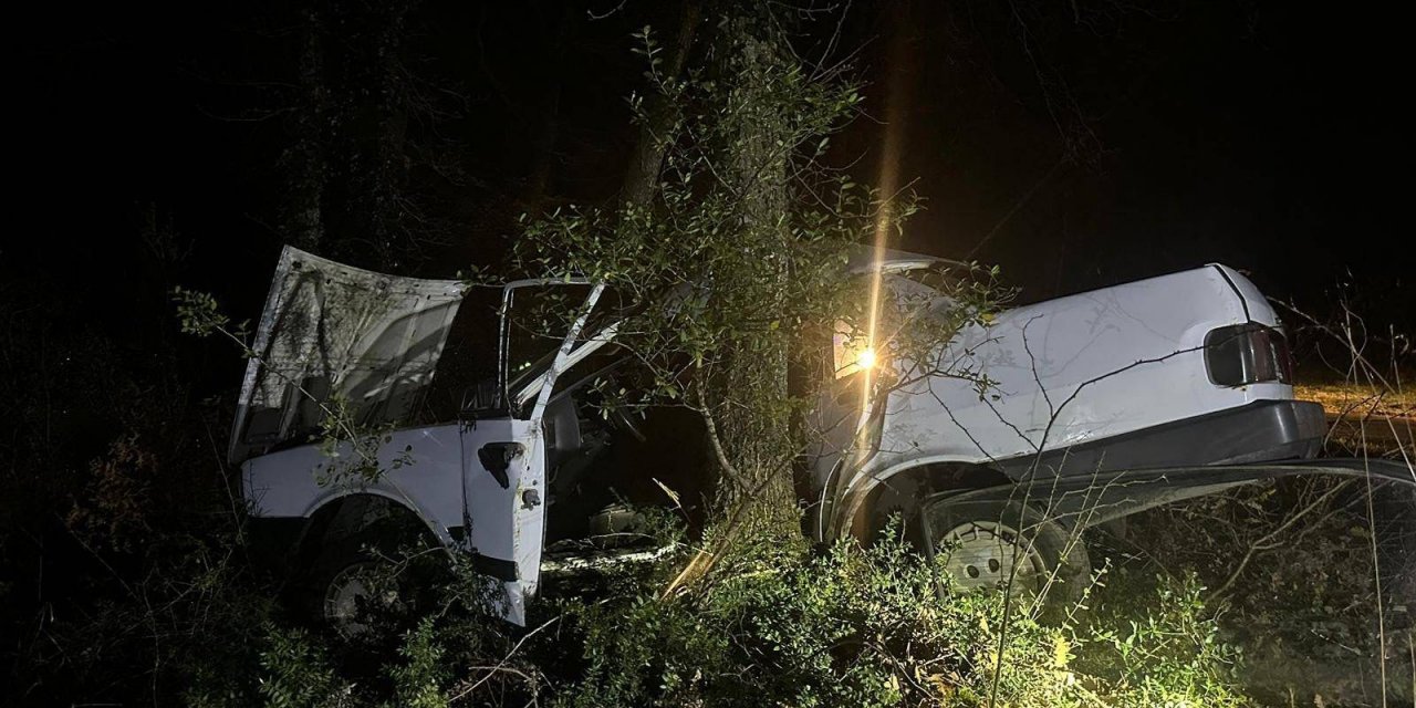 Otomobil ağaca çarptı; sürücü öldü, eşi yaralı