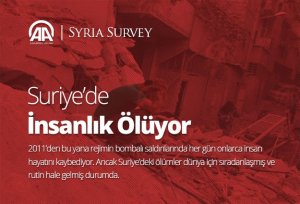 'Syria Survey' yayına başladı