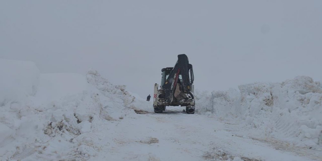 Bitlis'te kar yağışı etkili oldu, 103 köy yolu ulaşıma kapandı