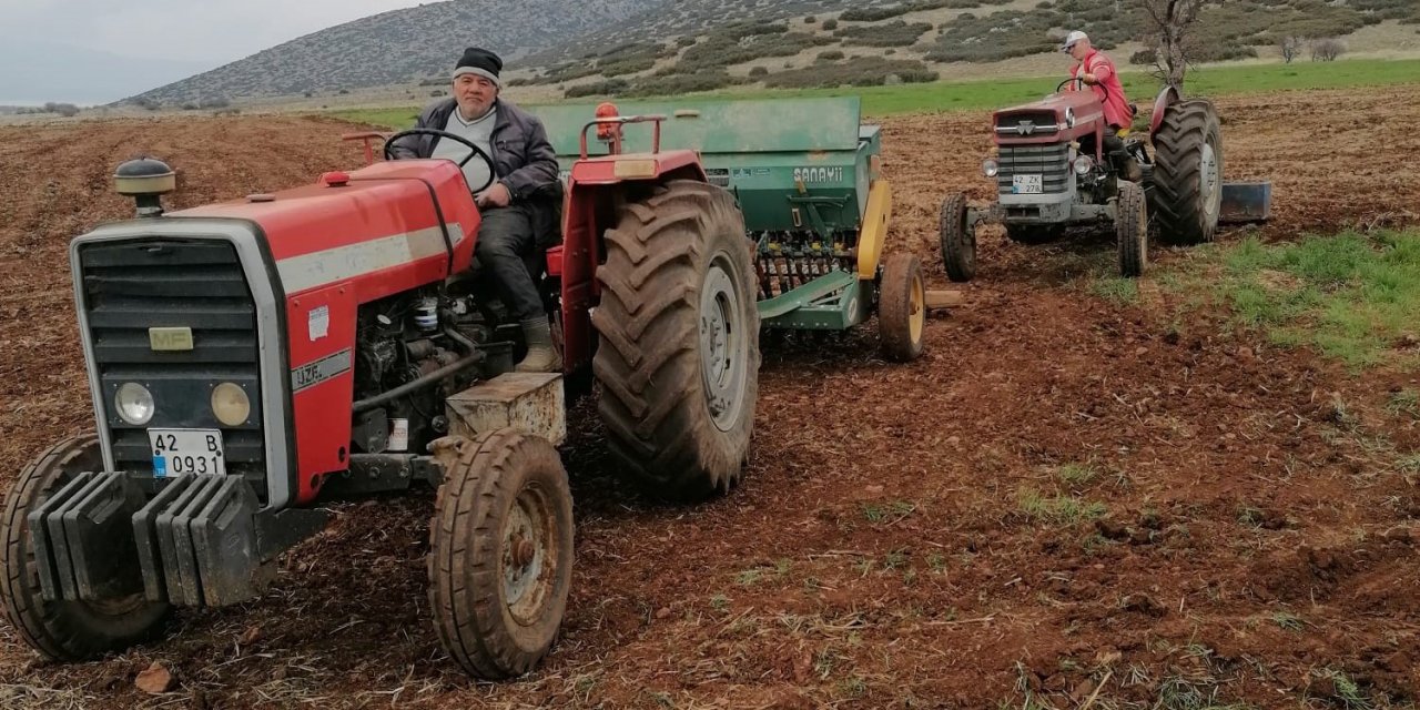 Konya'da atıl tarım alanları aspir ekilerek üretime kazandırılıyor