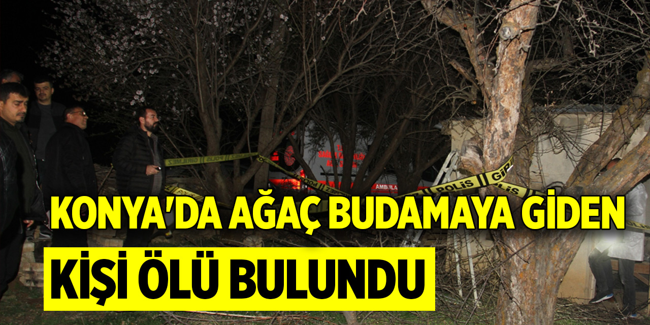 Konya'da ağaç budamaya giden kişi ölü bulundu