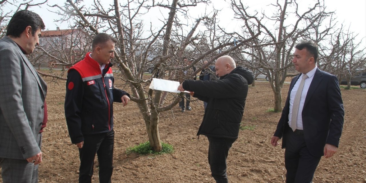Konya İl Tarım ve Orman Müdürü Seçen Beyşehir'e elma bahçesini gezdi