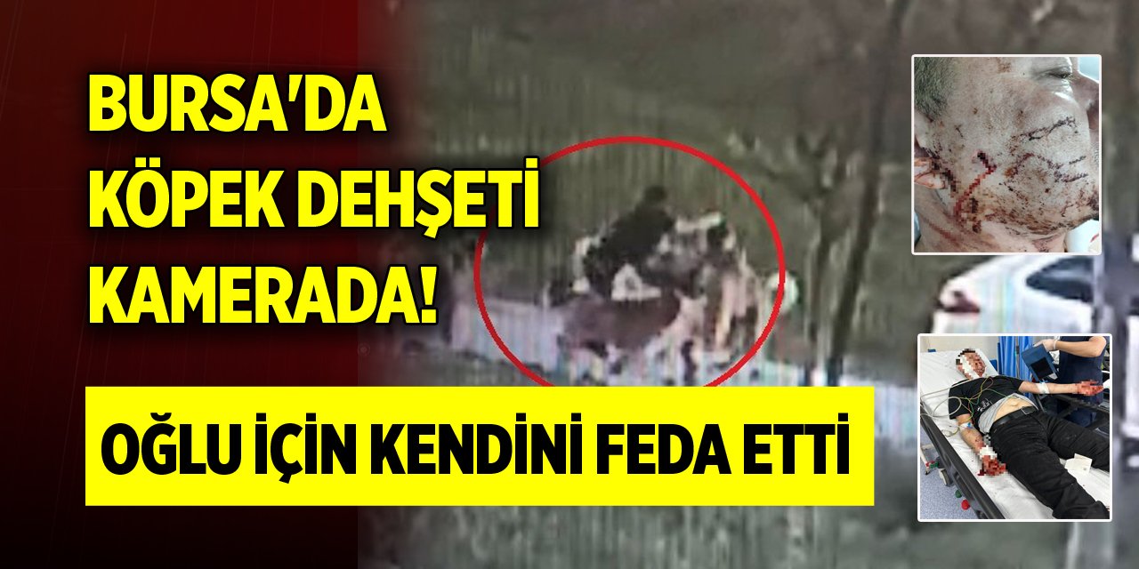 Bursa'da köpek dehşeti kamerada! Oğlu için kendini feda etti