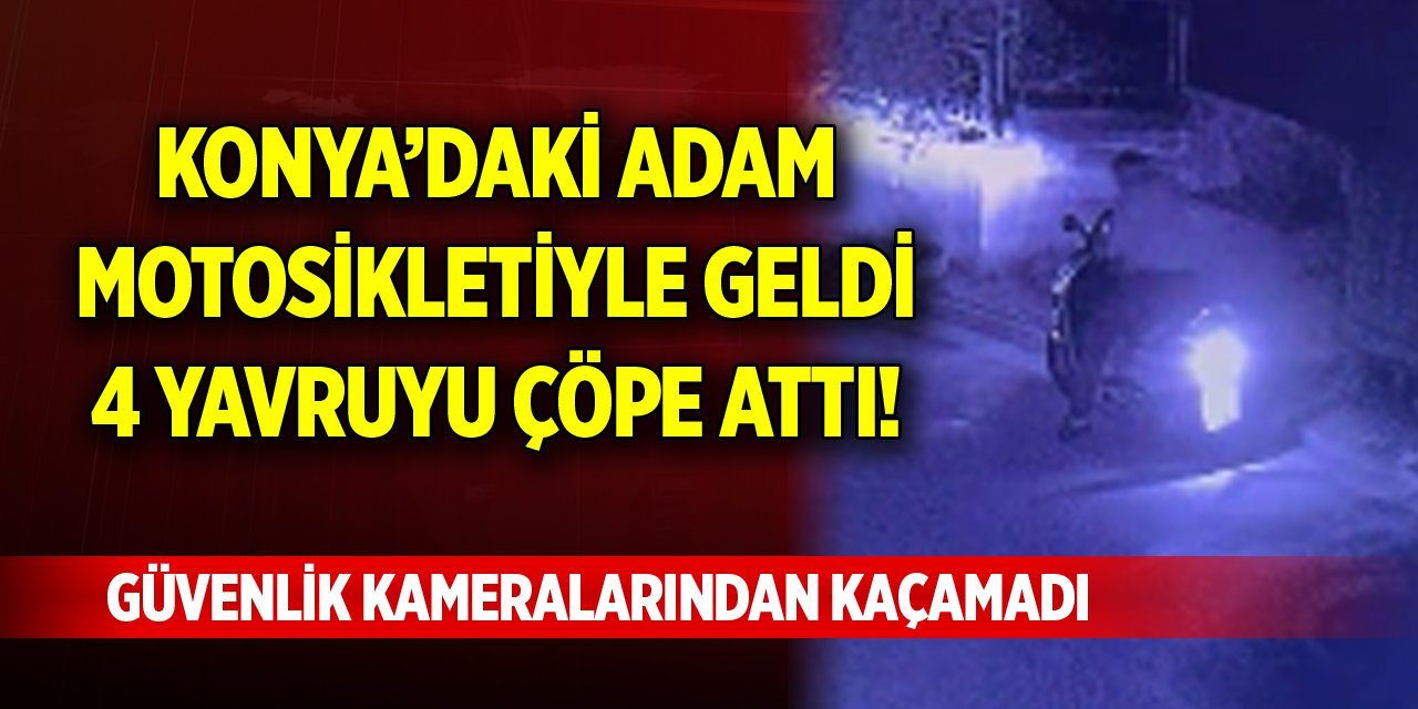 Konya’da motosikletiyle geldi, 4 yavruyu çöpe attı! Güvenlik kameralarından kaçamadı