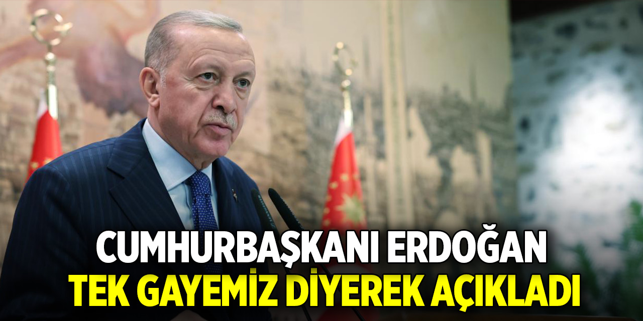 Cumhurbaşkanı Erdoğan tek gayemiz diyerek açıkladı
