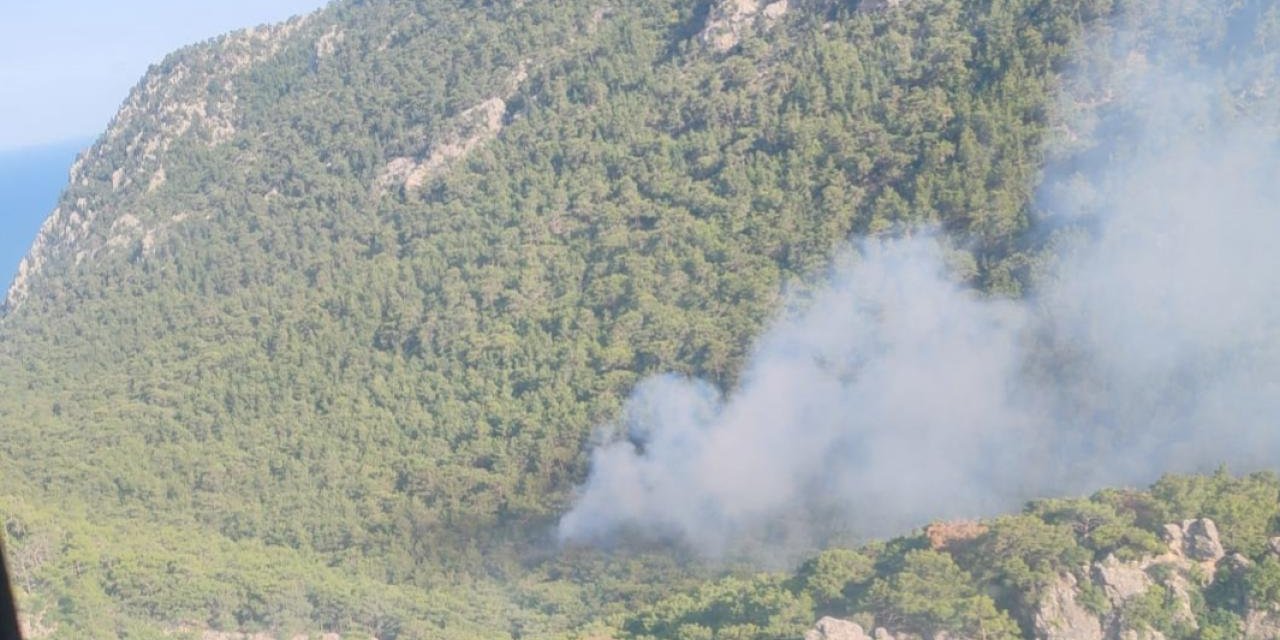 Antalya'da orman yangını