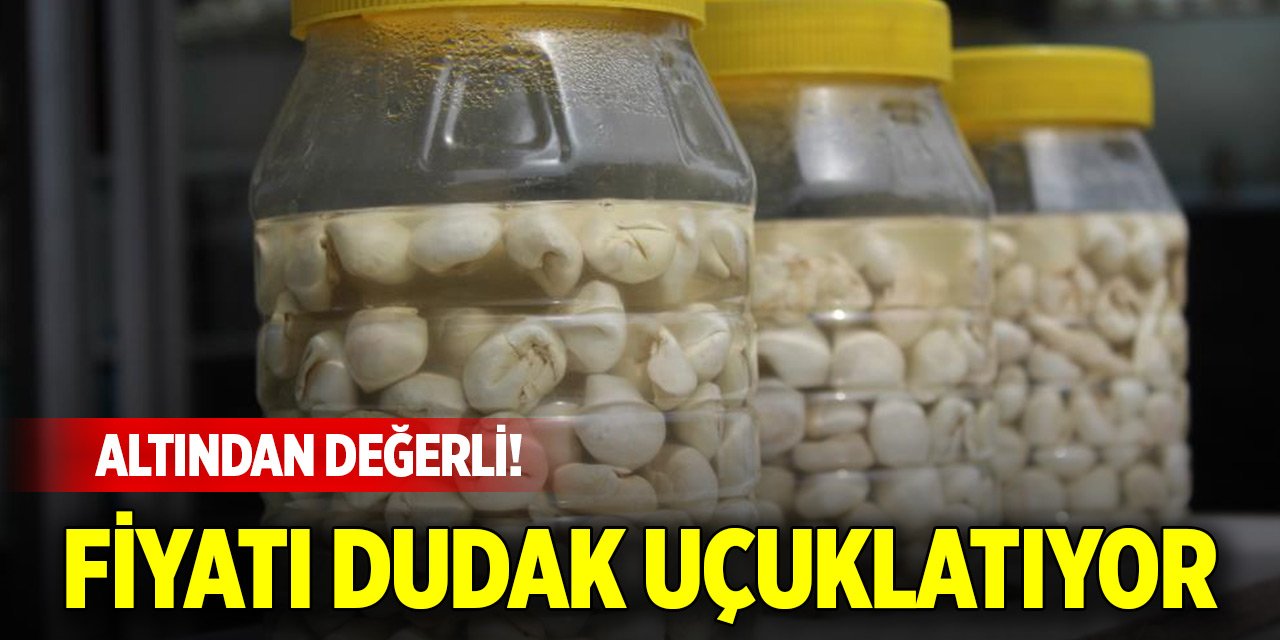 Altından değerli, fiyatı dudak uçuklatıyor