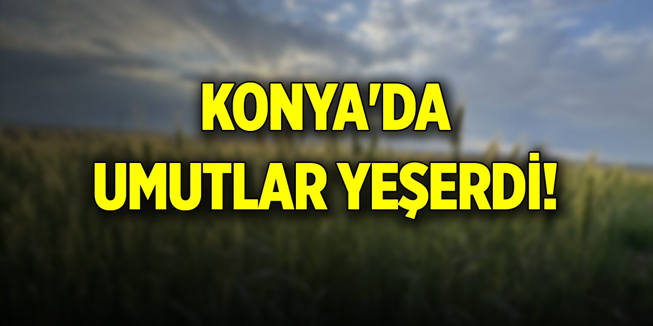 Konya'da umutlar yeşerdi