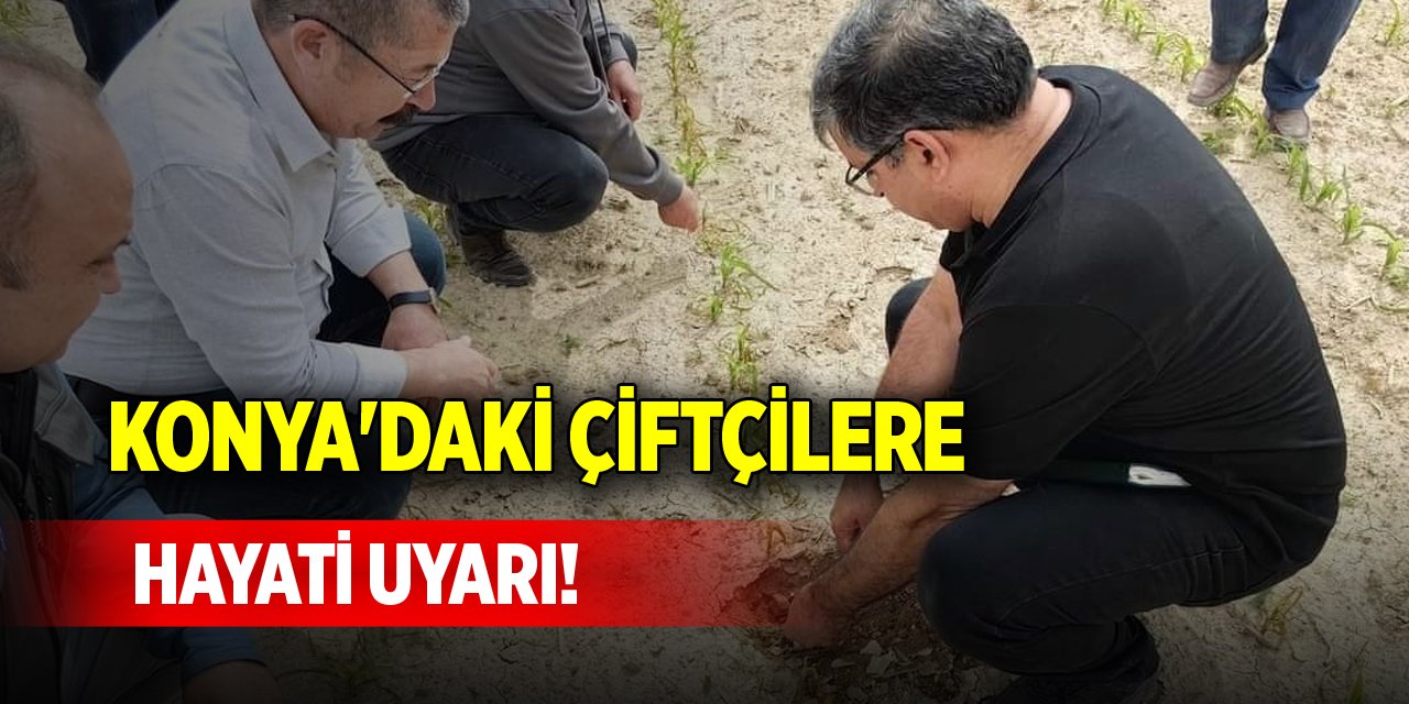 Konya'daki çiftçilere hayati uyarı!