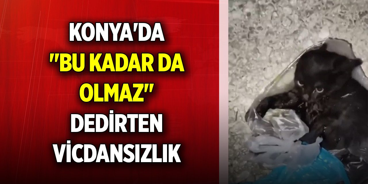 Konya'da "Bu kadar da olmaz" dedirten vicdansızlık