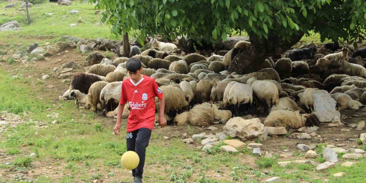 Çobanlık yapan 16 yaşındaki Ender, keşfedilmeyi bekliyor