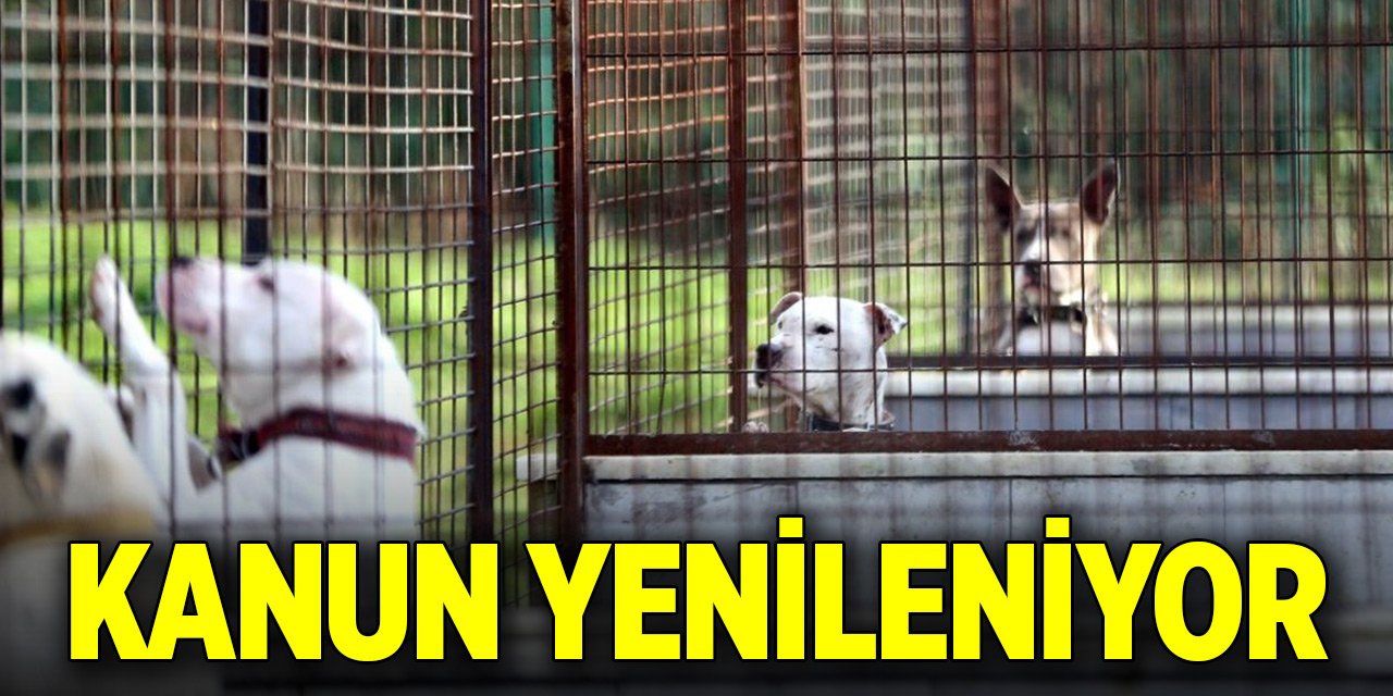 Hayvanları koruma kanunu yenileniyor