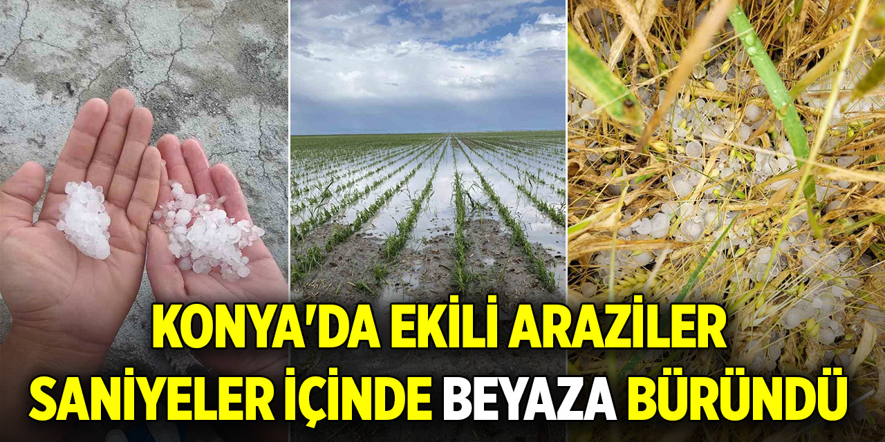 Konya'da ekili araziler saniyeler içinde beyaza büründü