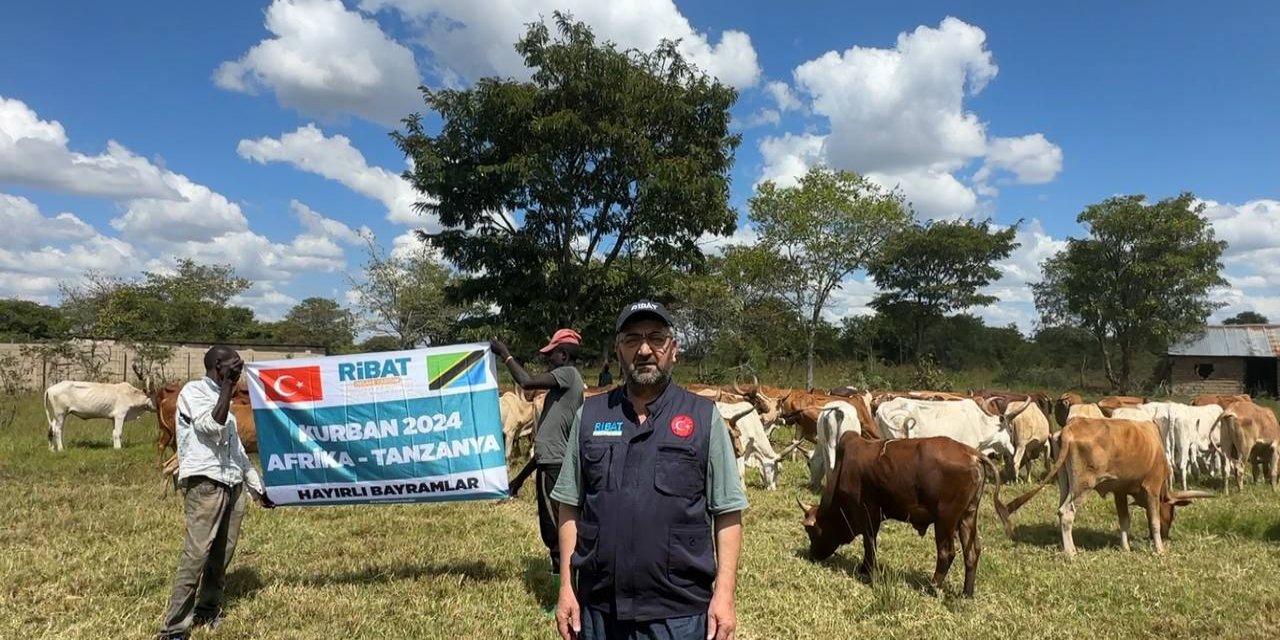 40 yıllık çınarın dalları dünyayı kucaklıyor