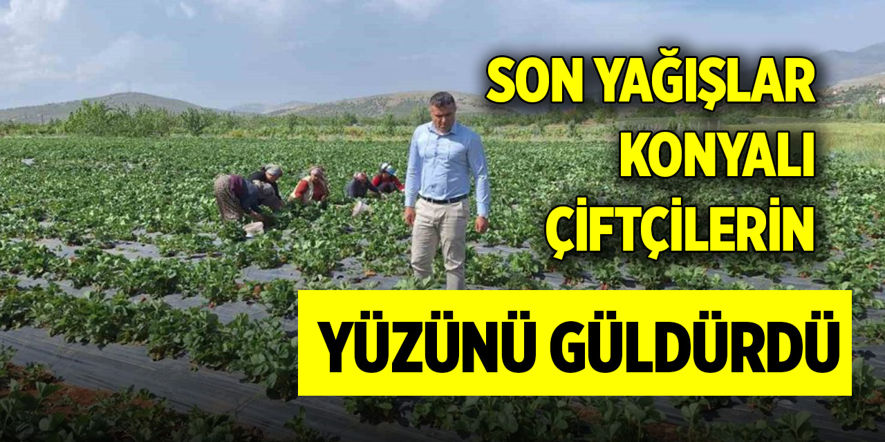 Son yağışlar Konyalı çiftçilerin yüzünü güldürdü