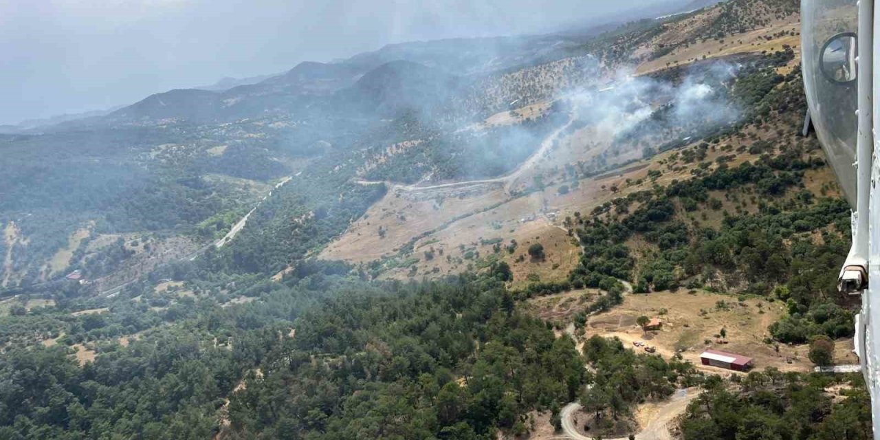 Balıkesir’de orman yangını