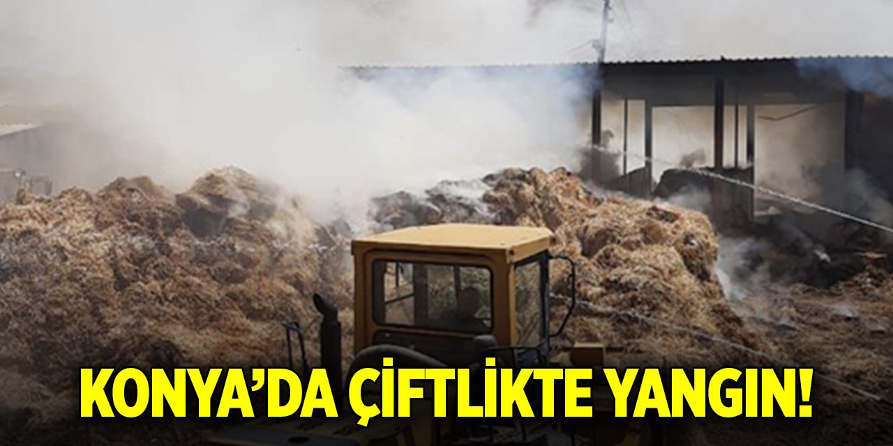 Konya'da çiftlikte yangın