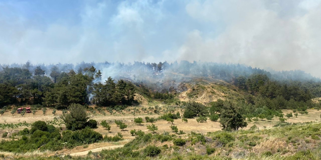 Çanakkale’de orman yangını... 9 uçak ve 5 helikopterle müdahale ediliyor