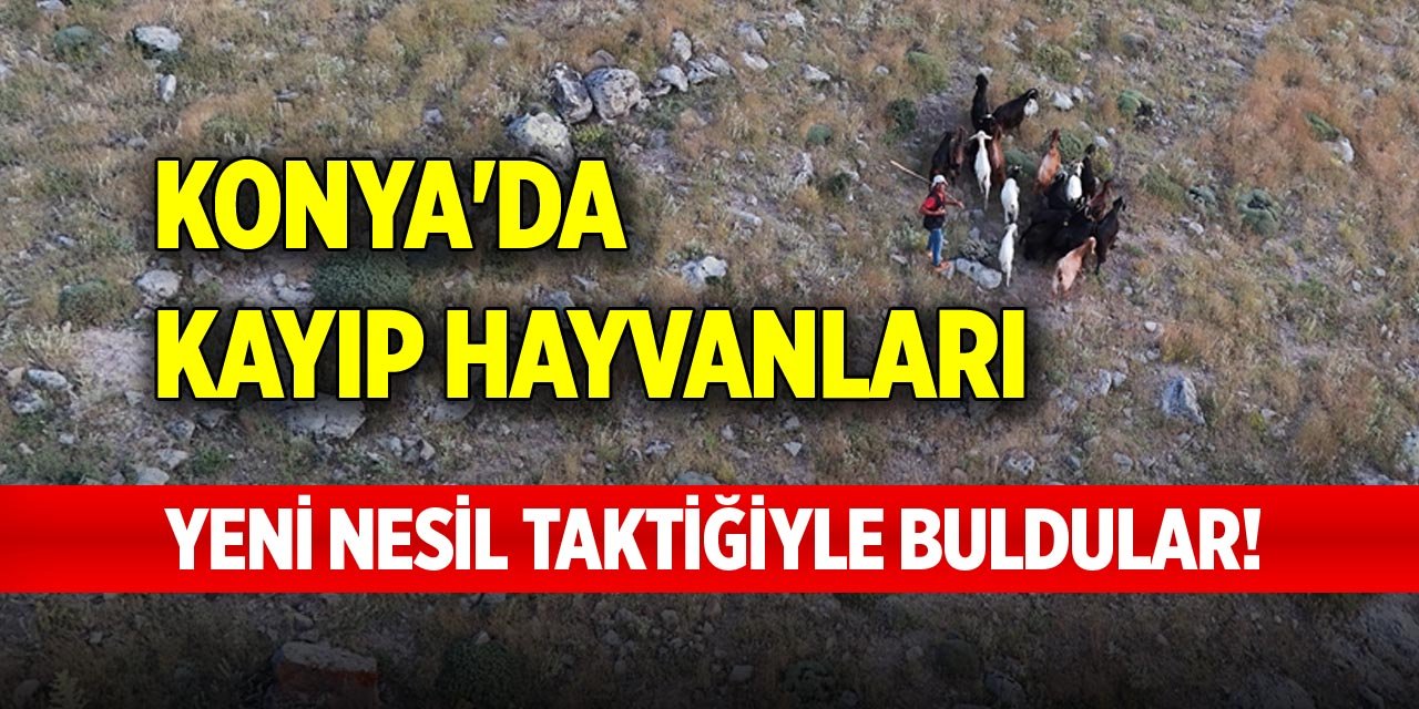 Konya'da kayıp hayvanları yeni nesil taktiğiyle buldular!