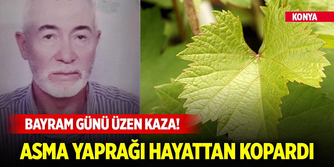 Konya'da bayram günü üzen kaza! Yaşlı adam hayatını kaybetti