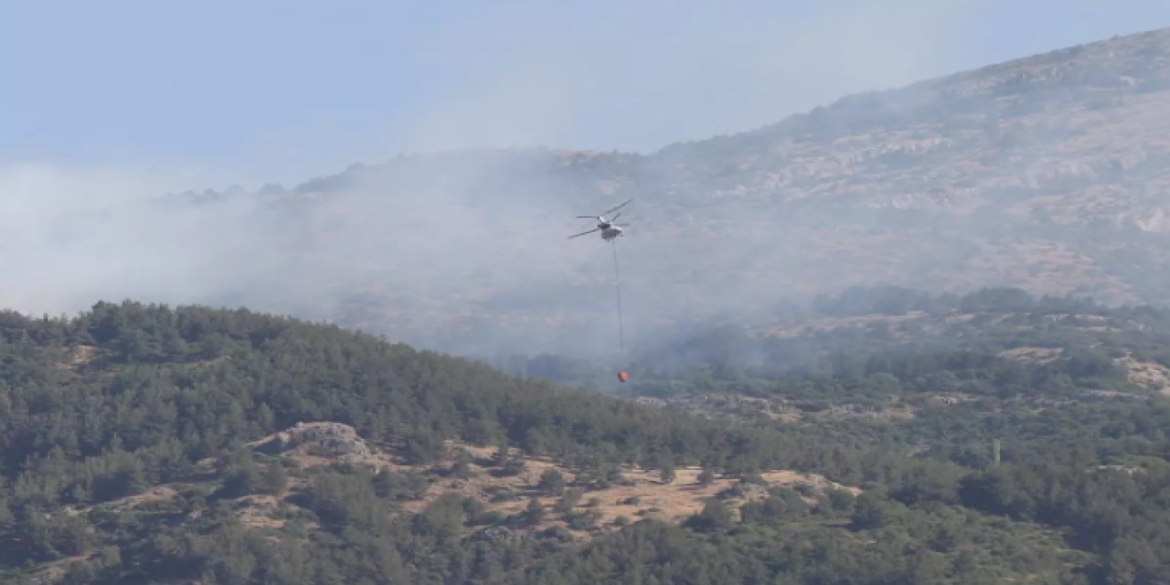 Manisa'da orman yangını kontrol altında