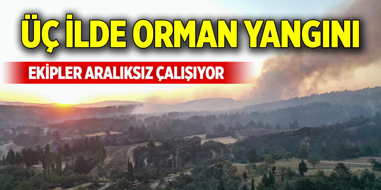 Üç ilde çıkan orman yangınları sürüyor