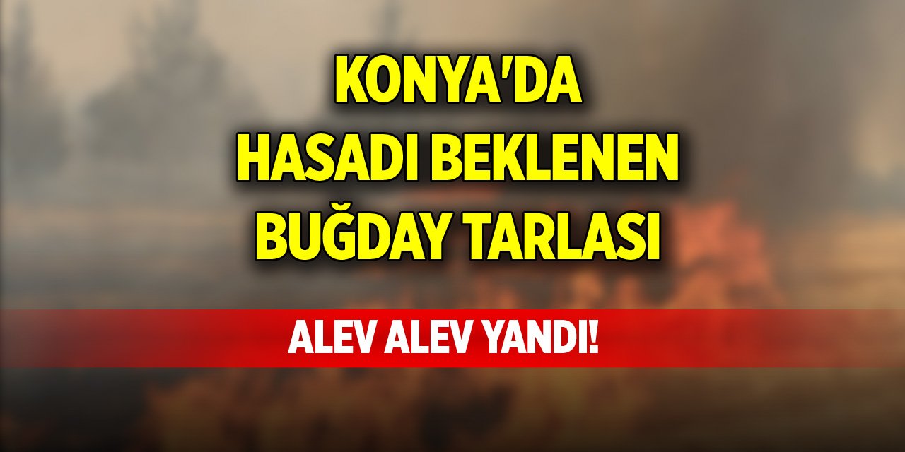 Konya'da hasadı beklenen buğday tarlası alev alev yandı!