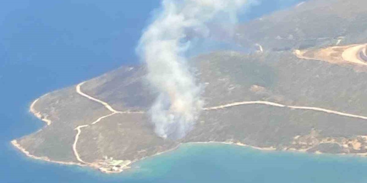 İzmir'de orman yangını