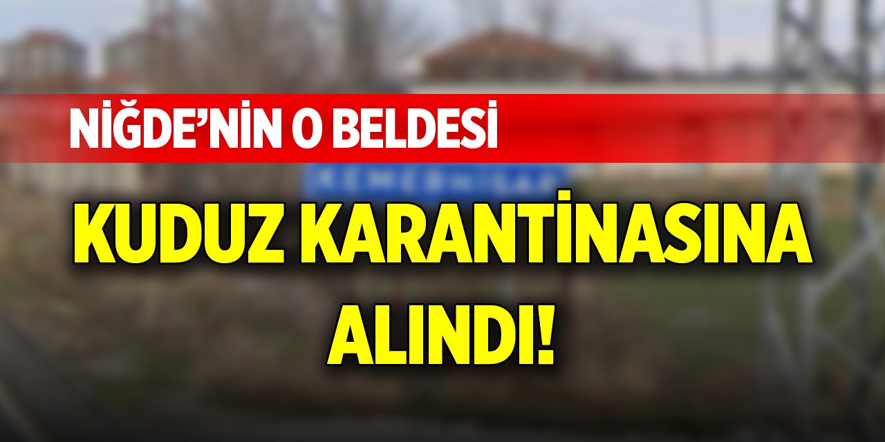 Niğde’nin o beldesinde kuduz karantinasına alındı!