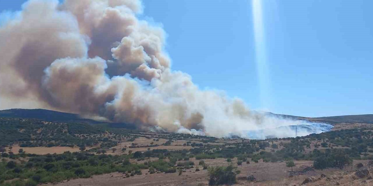 Bir orman yangını daha!