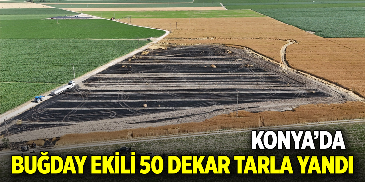 Konya'da buğday ekili 50 dekar tarla yandı
