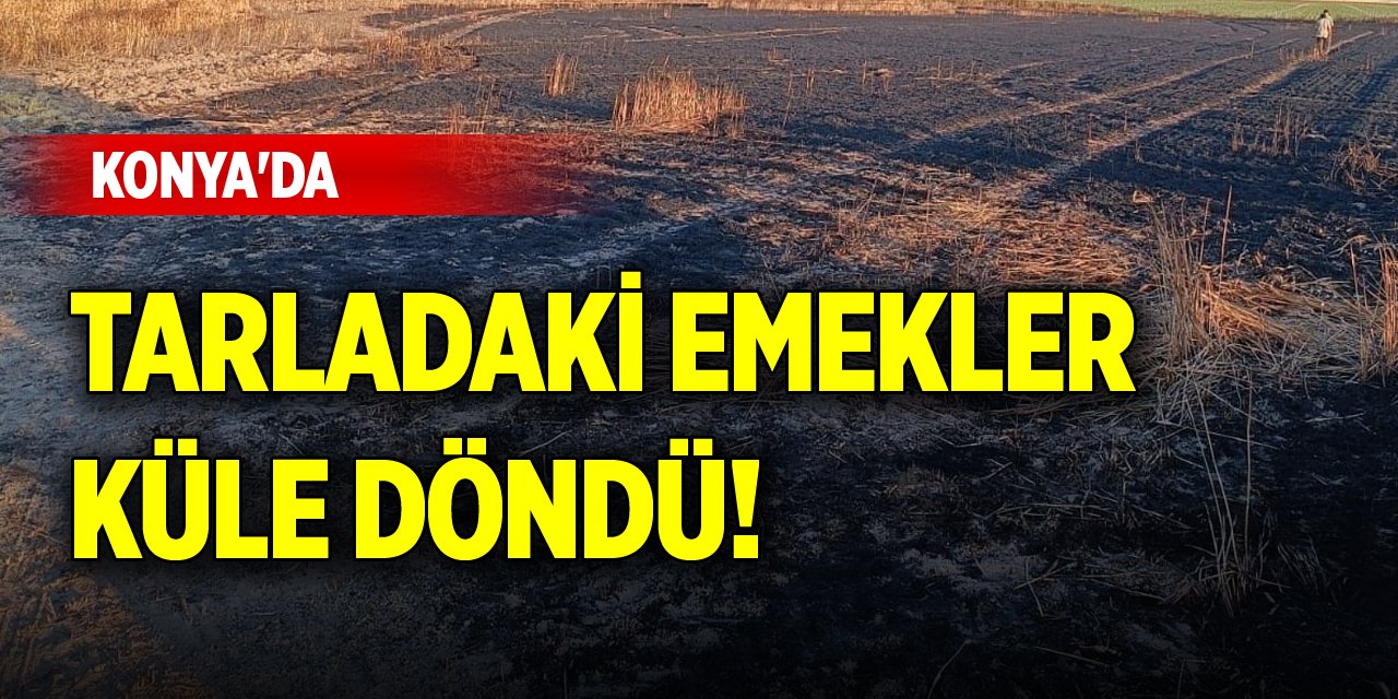 Konya'da tarladaki emekler küle döndü!