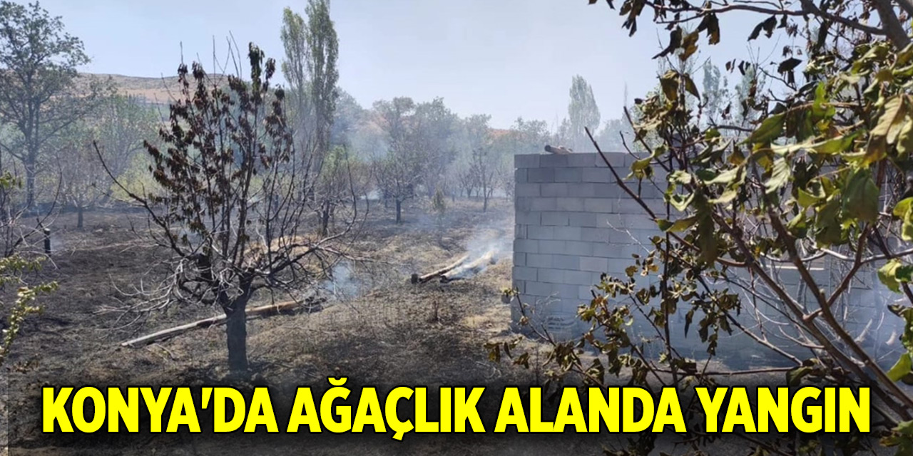Konya'da ağaçlık alanda yangın