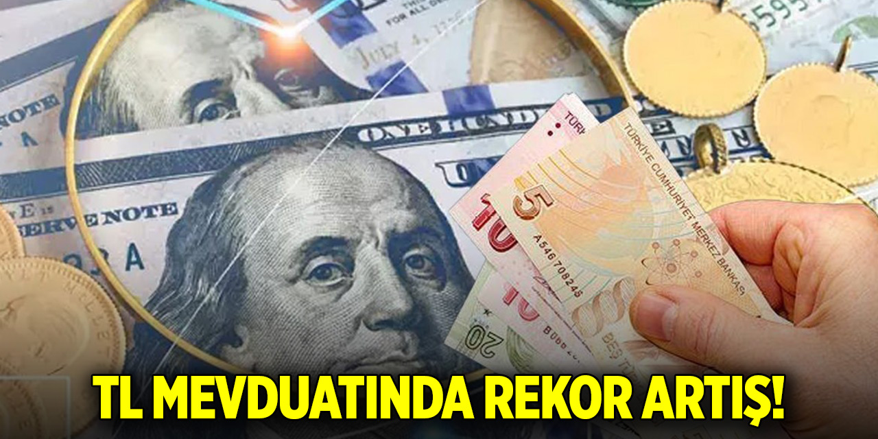 TL mevduatında rekor artış! Yastık altından bankaya geçiş hızlanıyor