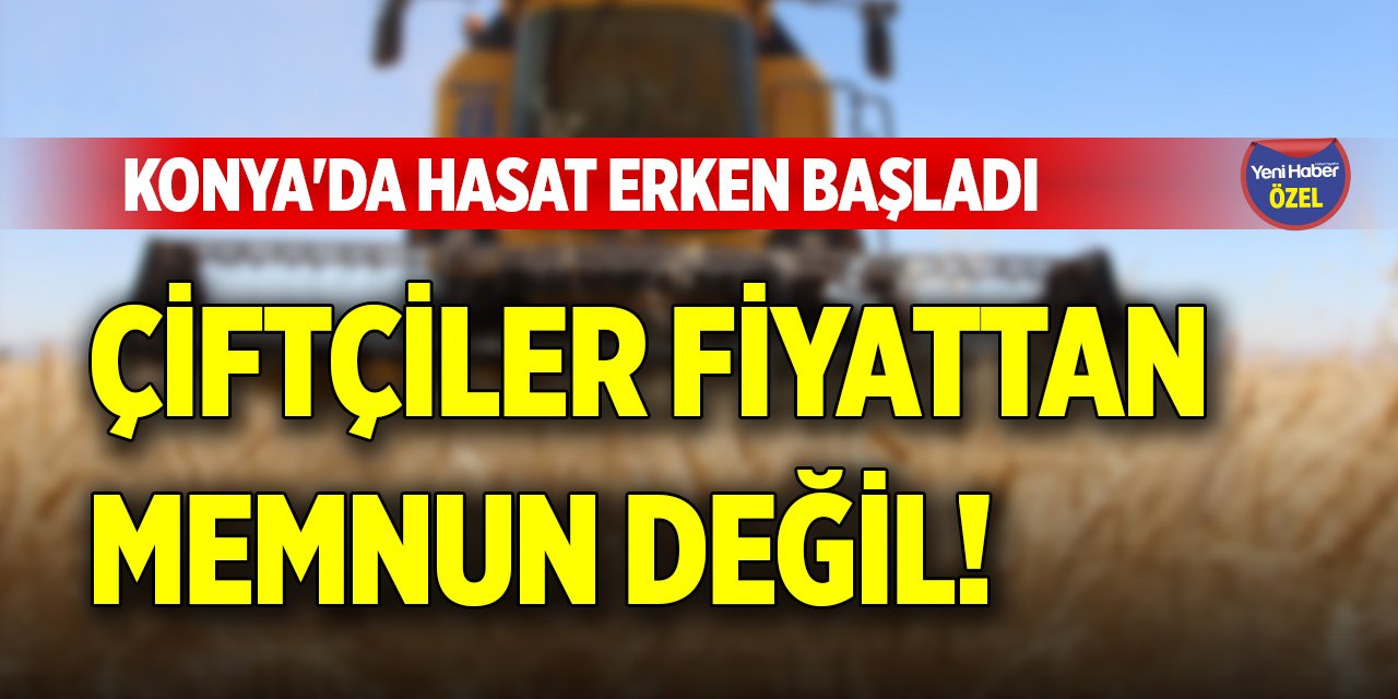 Konya'da hasat erken başladı, çiftçiler fiyattan memnun değil!