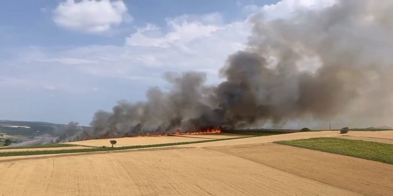 Ekili tarlalarda yangın çıktı! 80 dönüm alan küle döndü