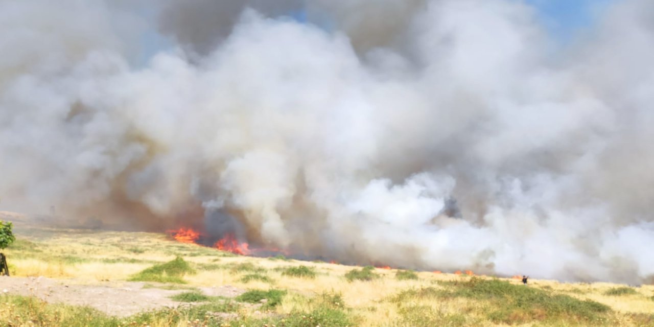 Suriye sınırında, mayınlı bölgede ot yangını