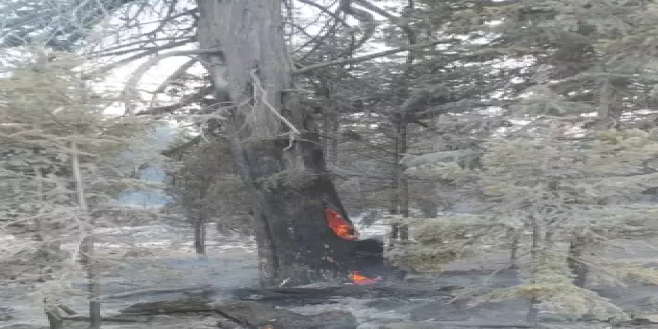 Karaman'da orman yangınına müdahale sürdürülüyor; 600 hektar alan kül oldu