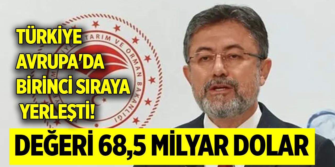 Türkiye Avrupa'da birinci sıraya yerleşti! Değeri 68,5 milyar dolar