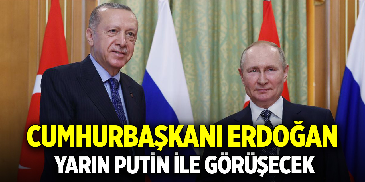 Cumhurbaşkanı Erdoğan, yarın Putin ile görüşecek