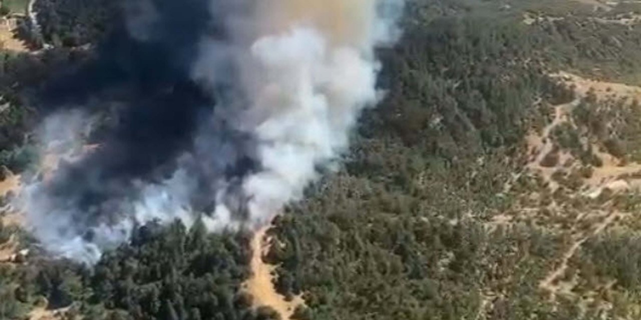 İzmir'de orman yangınına ekiplerce müdahale ediliyor
