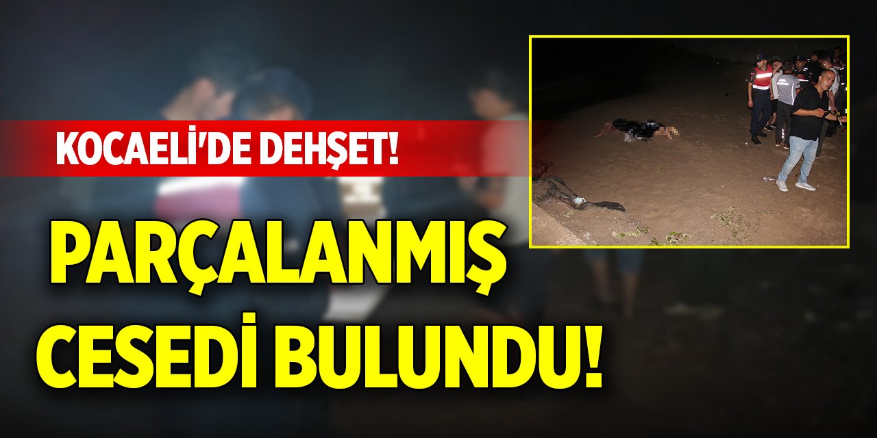 Kocaeli'de dehşet! Parçalanmış cesedi bulundu!