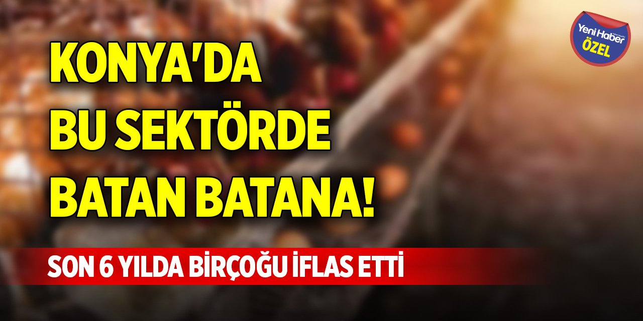 Konya'da bu sektörde batan batana! Son 6 yılda birçoğu iflas etti