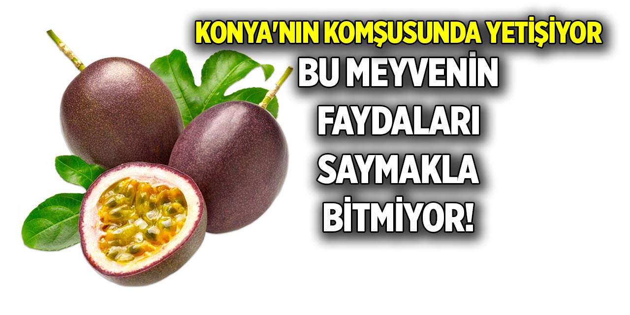 Konya'nın komşusunda yetişiyor tropik meyvenin faydaları saymakla bitmiyor!