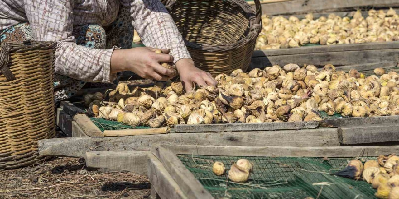 Kuru meyve ihracatı 829 milyon dolara yükseldi